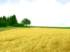 开云麻将胡了模拟器基地展示5