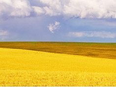 开云麻将胡了模拟器基地展示4