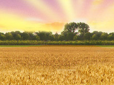 开云麻将胡了模拟器基地展示3